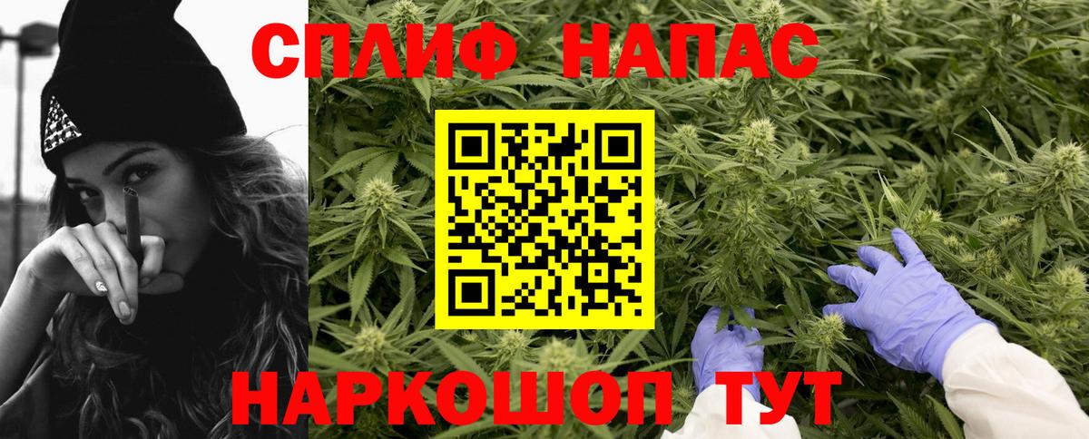 Канабис ГИДРОПОН Минеральные Воды